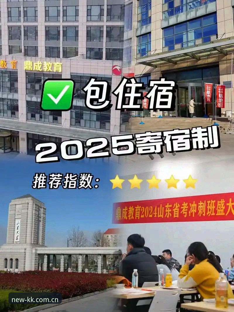 KK体育平台新版本使用教程：从下载到数据查看的完整指南